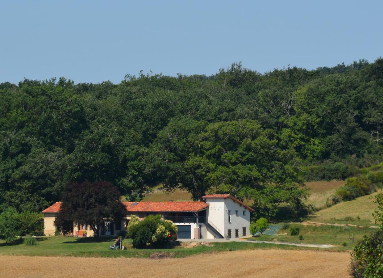 Вилла La Safraniere Lagraulet-Saint-Nicolas Экстерьер фото